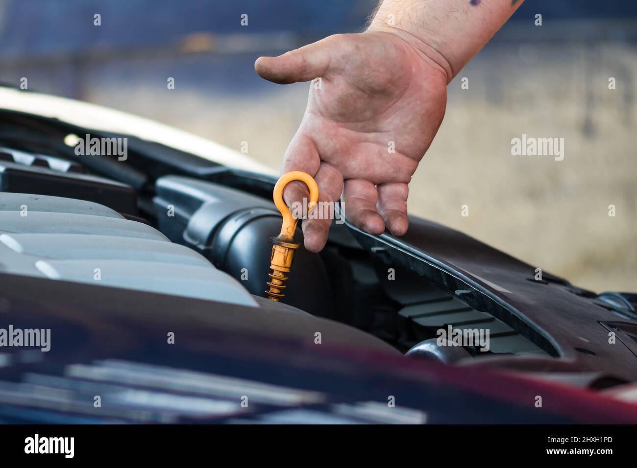 Car mechanic checking the engine oil level Stock Photo Alamy