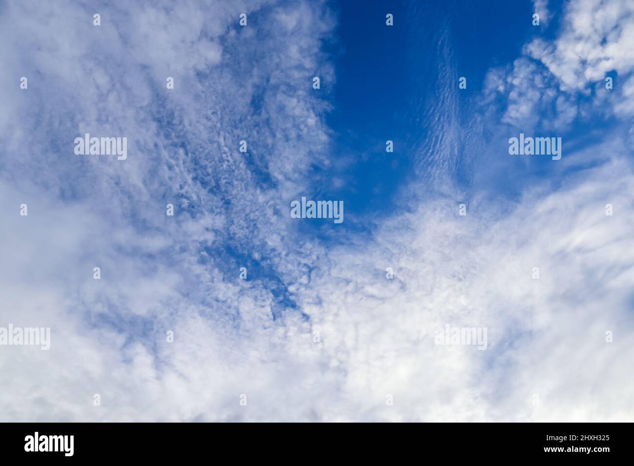 Stunning cirrus cloud formation panorama in a deep blue summer sky seen ...