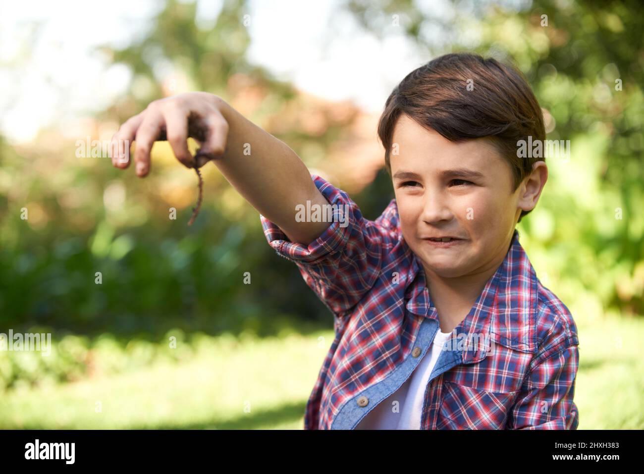 Eww. Shot of a cute little boy holding up an earthworm he found in the garden. Stock Photo