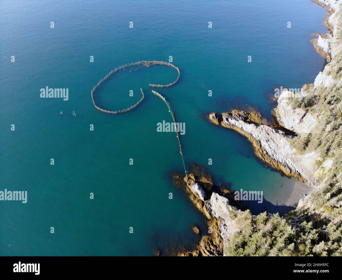 Aerial view of a mushroomshaped fishing weir in Grand Manan Island's