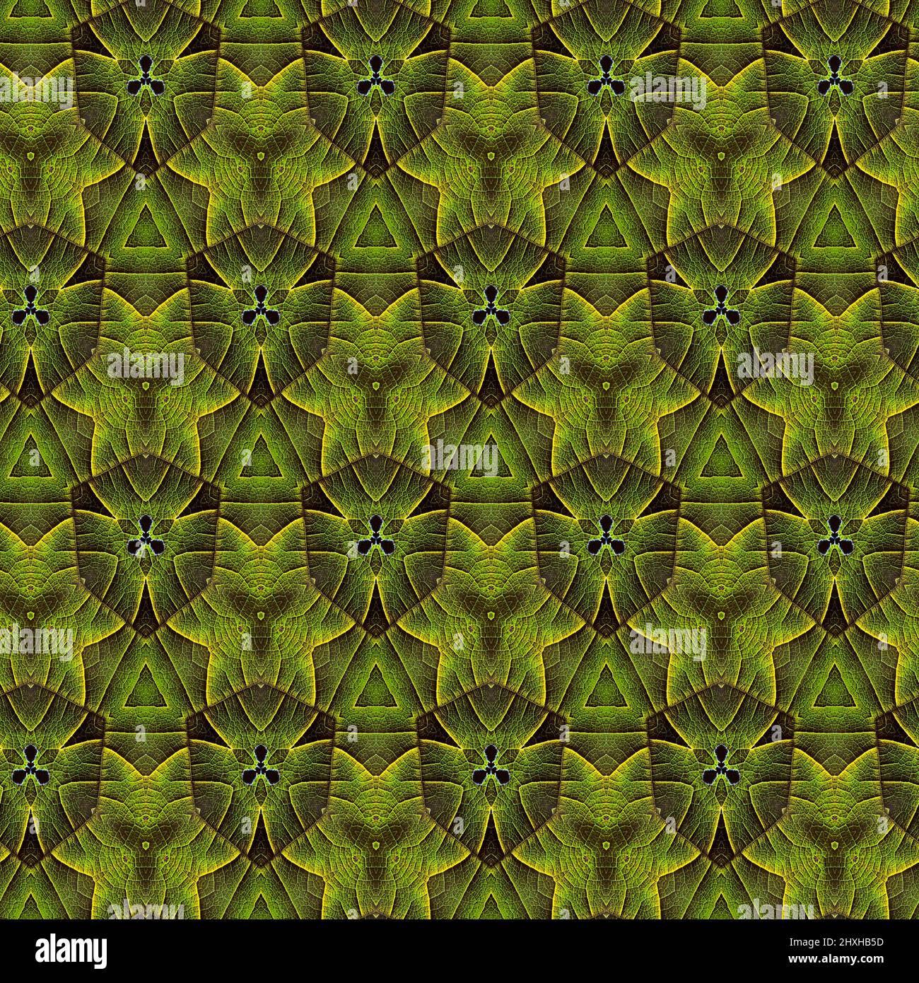 Interesting shapes create a beautiful, symmetrical design pattern that can be tiled seamlessly Stock Photo