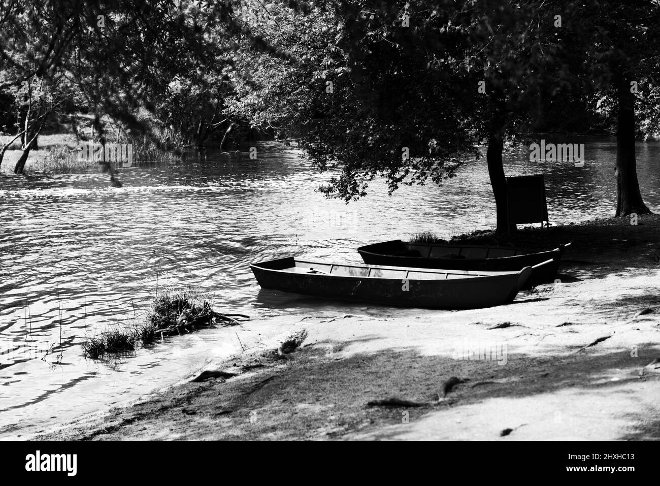 Rowing standing Black and White Stock Photos & Images - Alamy