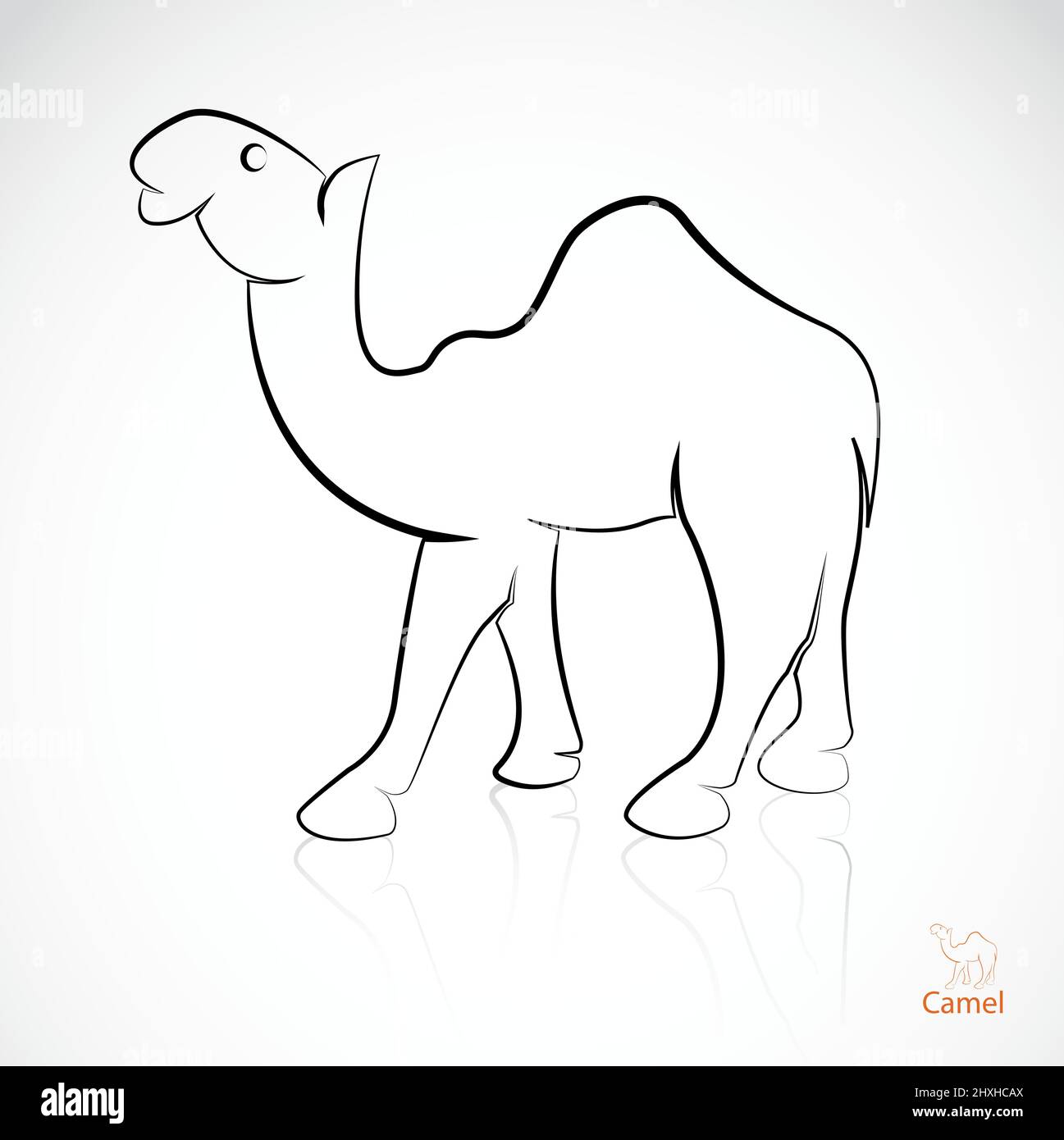 Vector image of a camel on white background. Easy editable layered ...