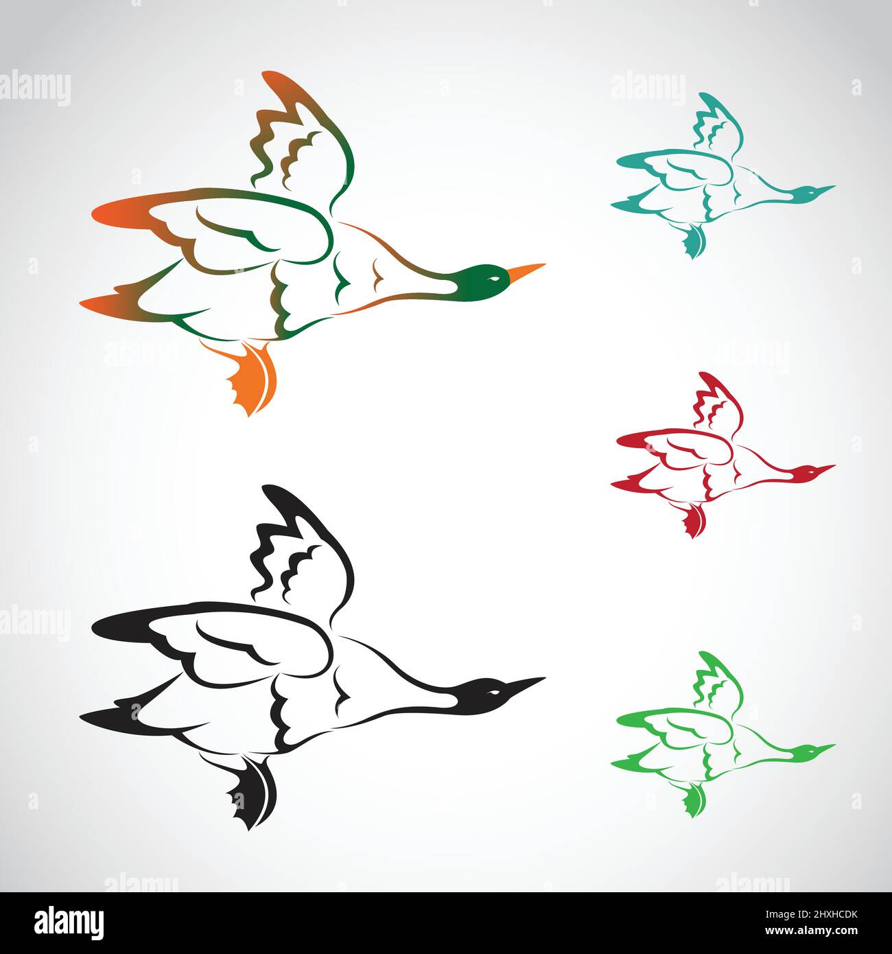 Vector image of flying wild duck on white background. Easy editable layered vector illustration. Stock Vector