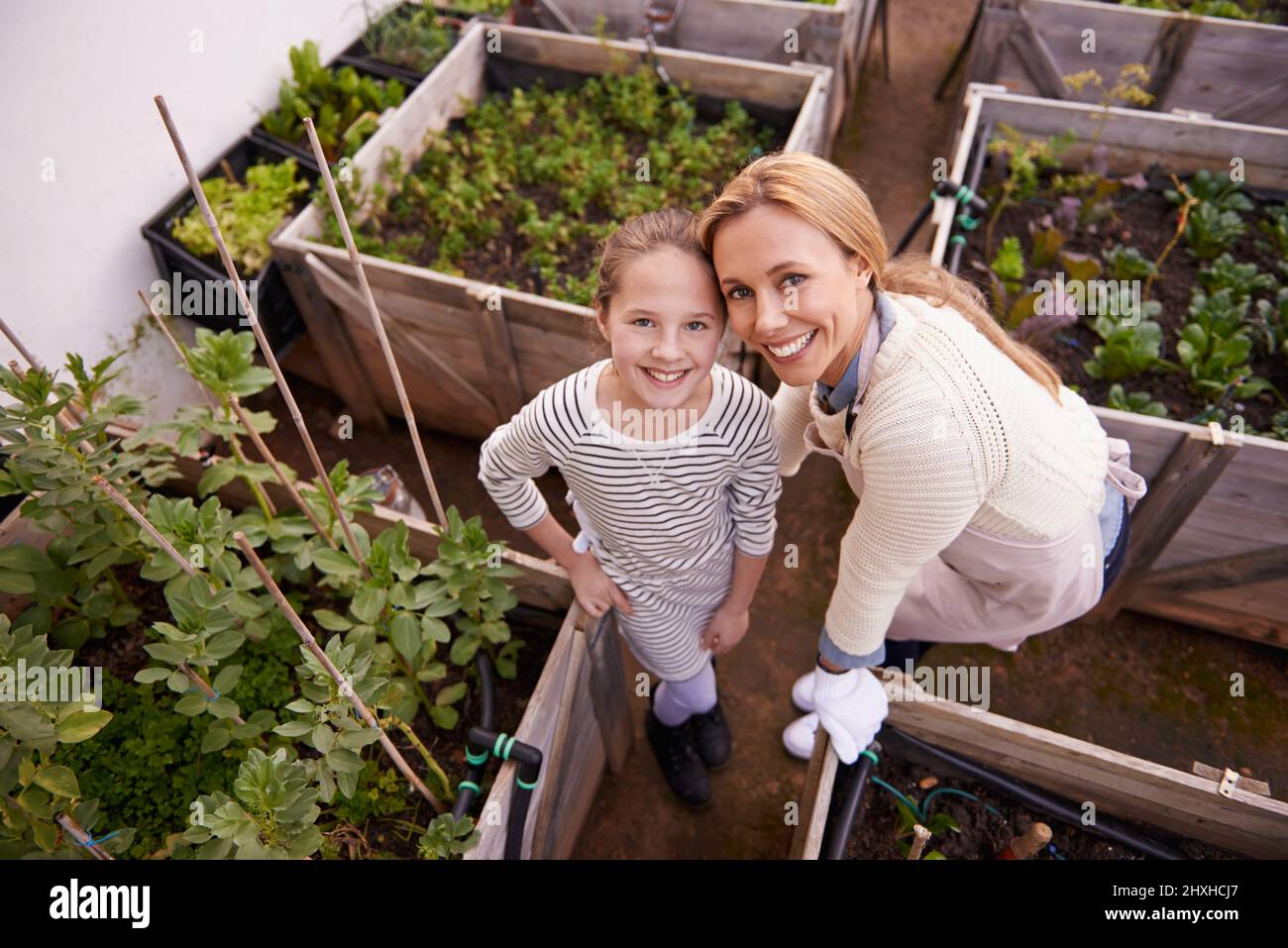 We all have a green thumb. High angle portrait of a mother and daughter gardening together in their backyard. Stock Photo