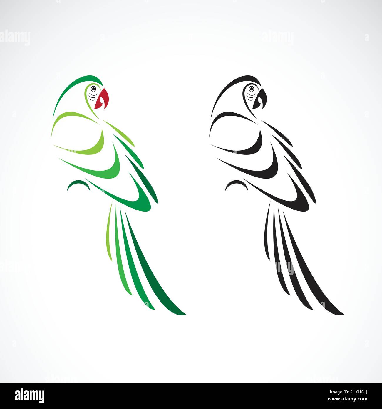 Vector of a parrot design on white background. Bird Icon. Wild Animals ...