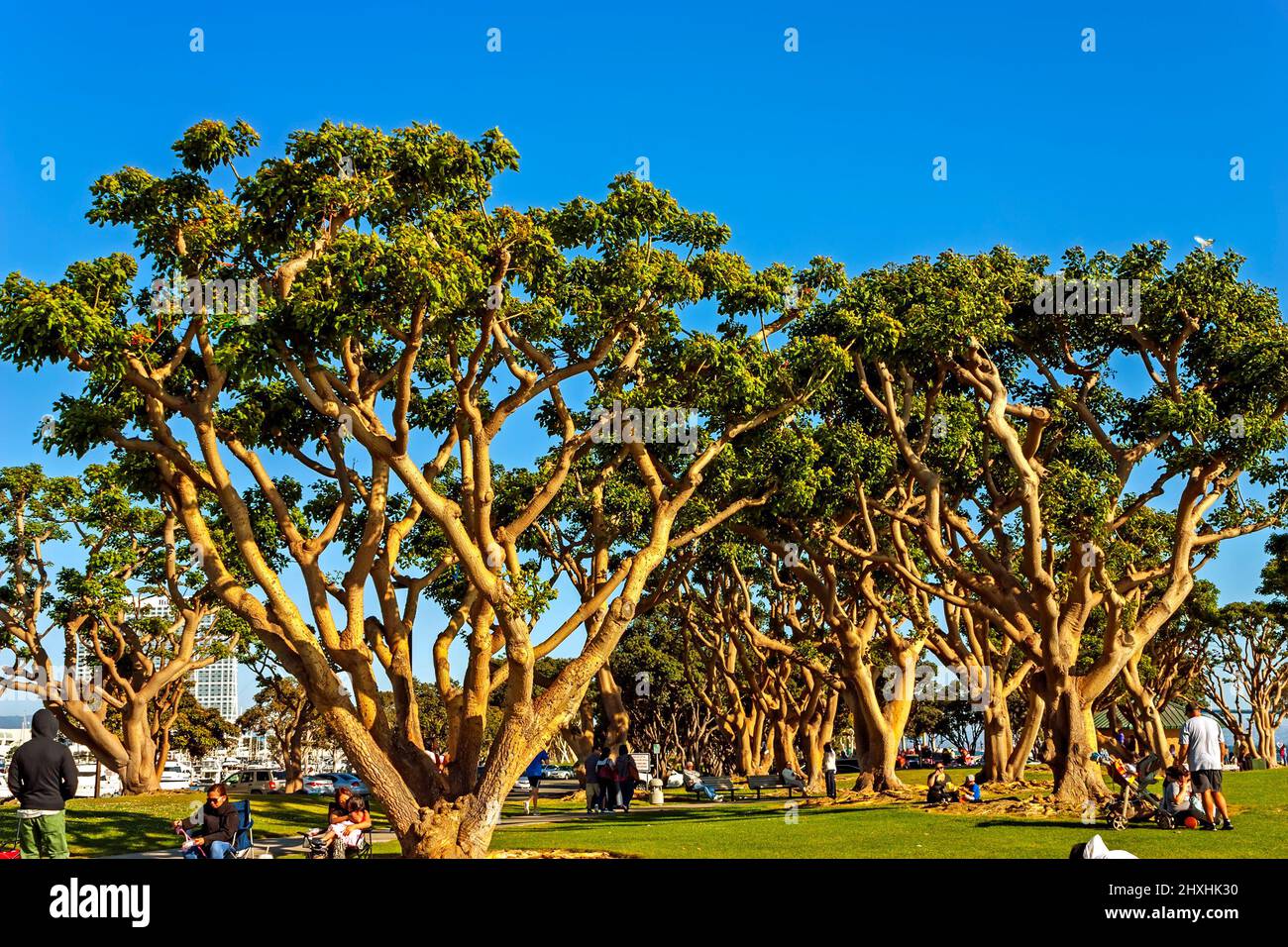 View of one of beautiful place in San Diego,California,America. Stock Photo