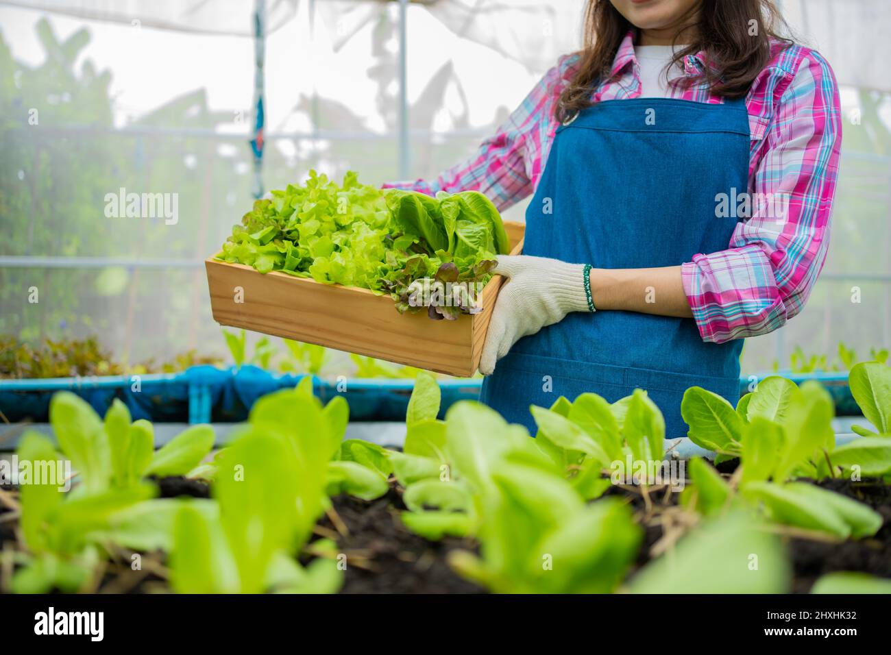 Portrait of happy Asian woman farmer holding basket of fresh vegetable ...