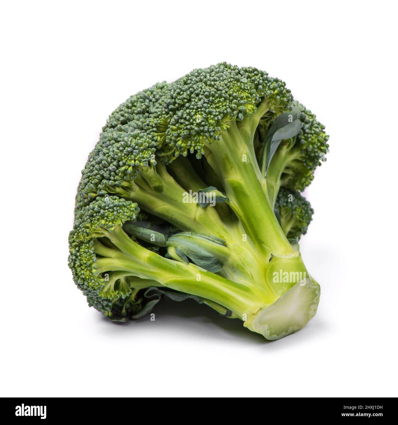 Green broccoli isolated on white background Stock Photo