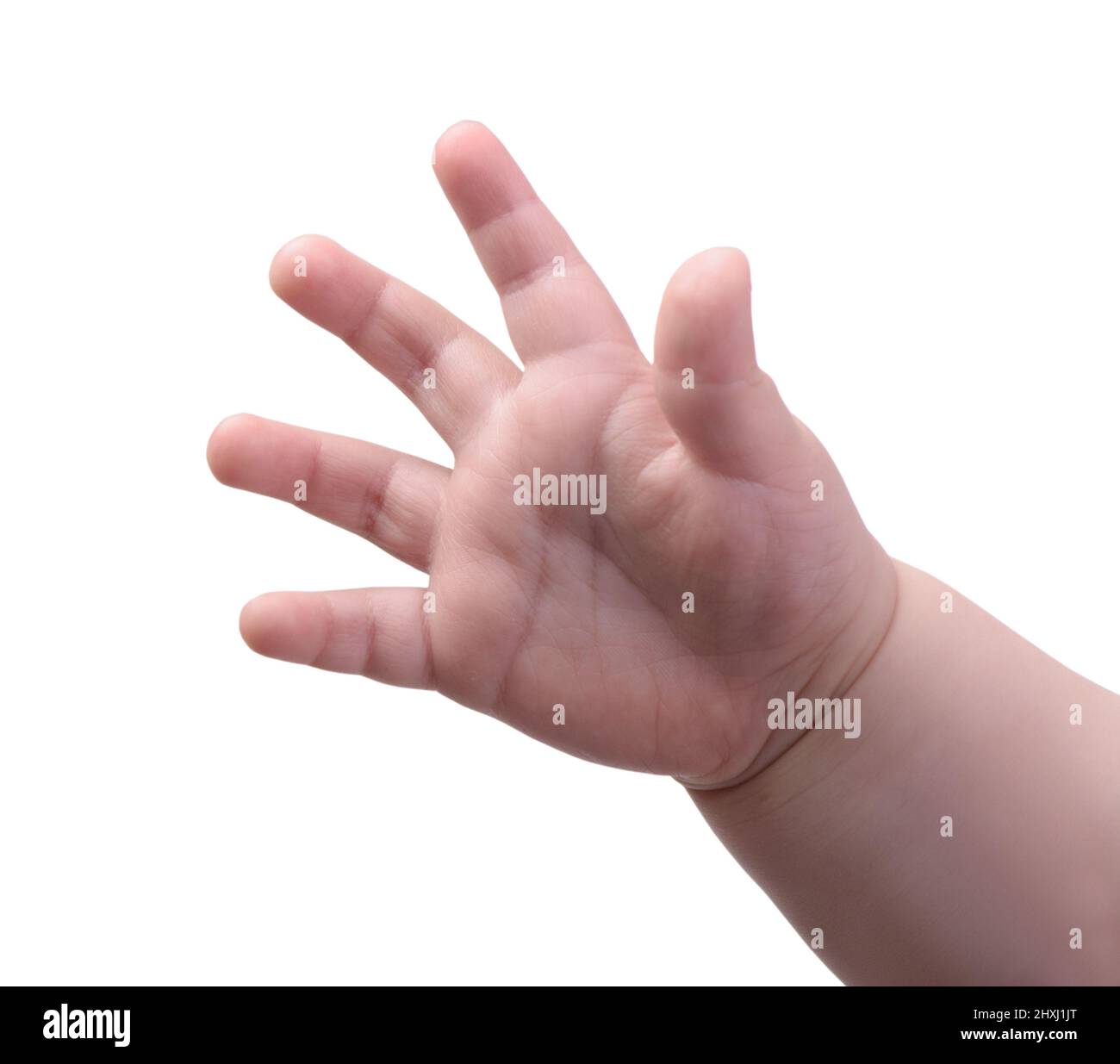 Small baby hand isolated on white background Stock Photo