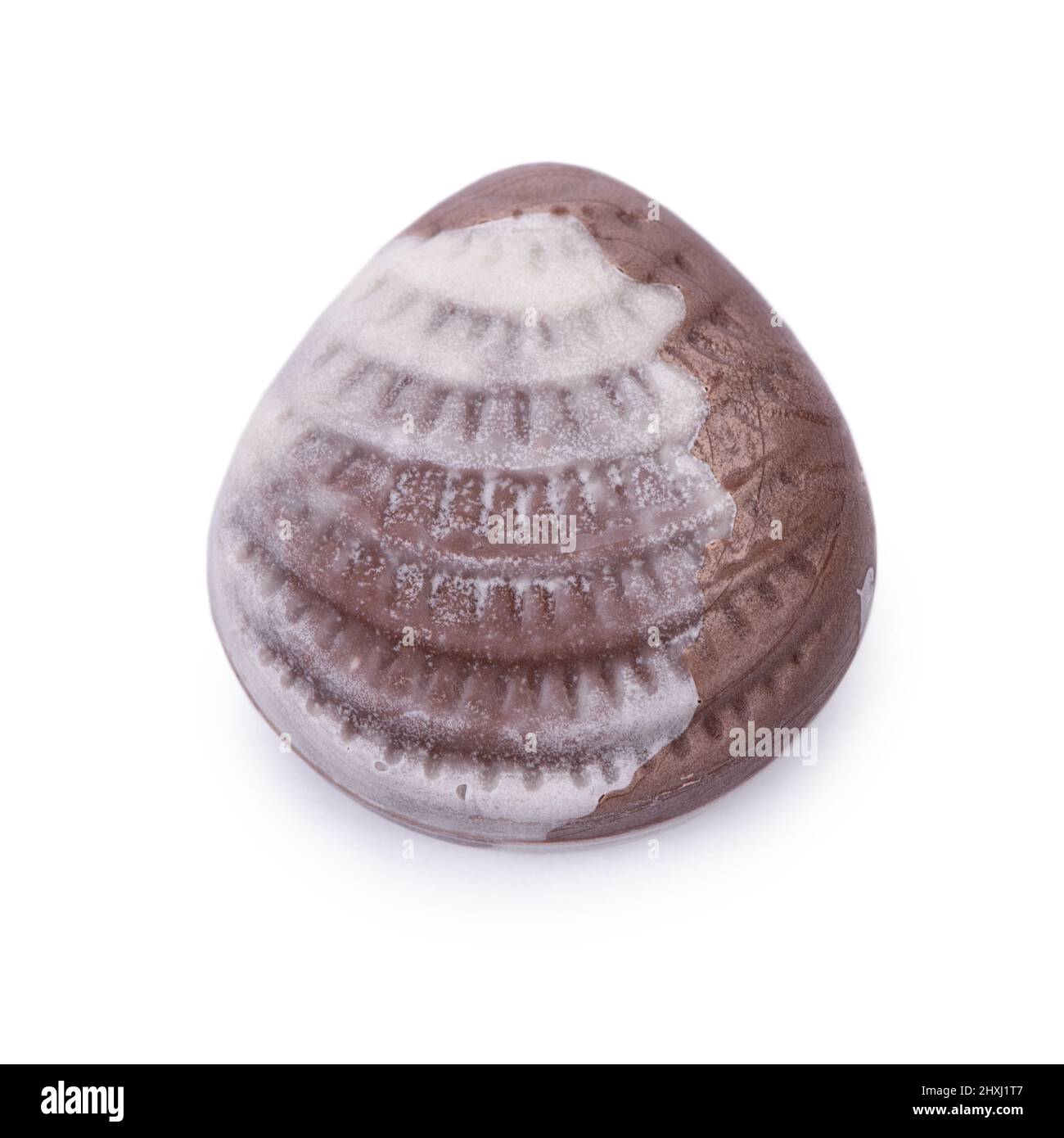 One seashell chocolate bar isolated on white background Stock Photo