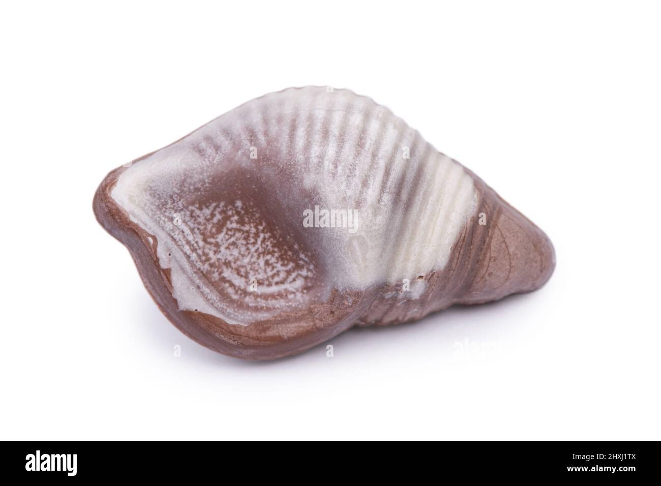 One seashell chocolate bar isolated on white background Stock Photo