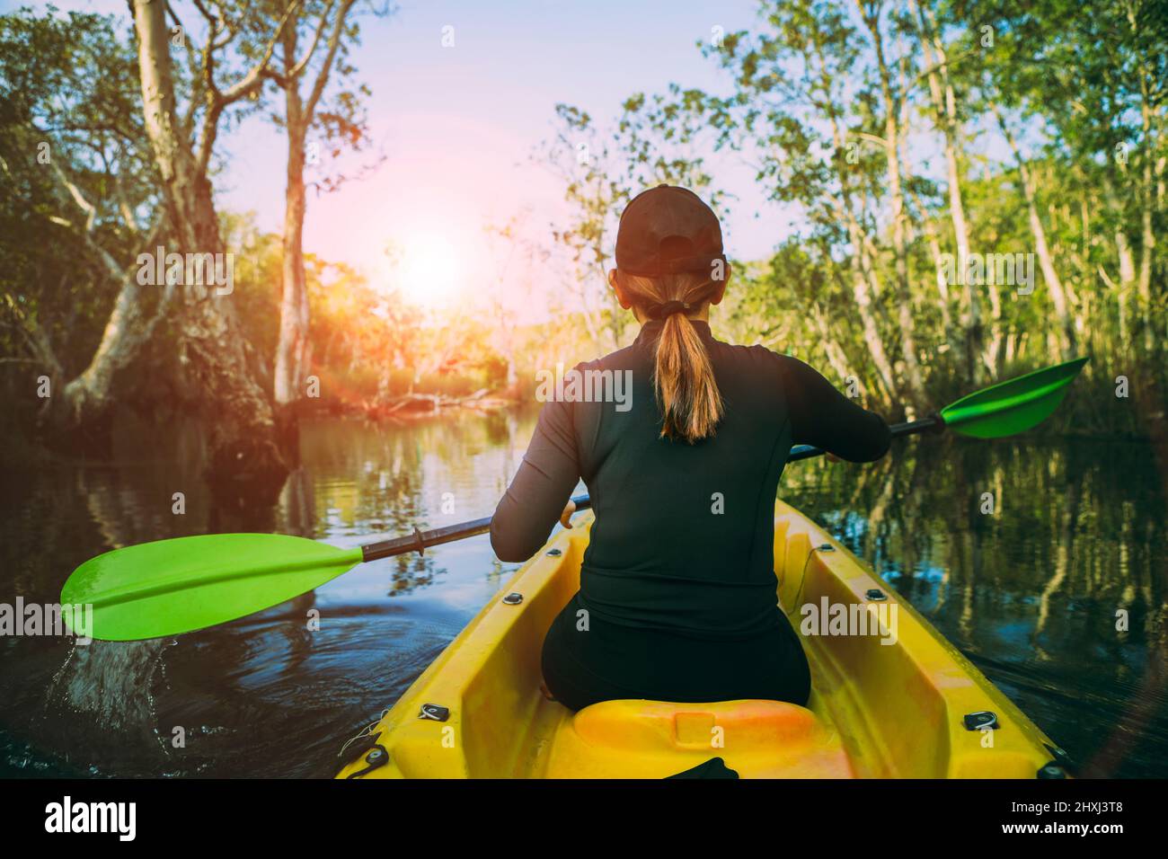 woman sailing kayak in mangrove forest against beautiful sun light Stock Photo