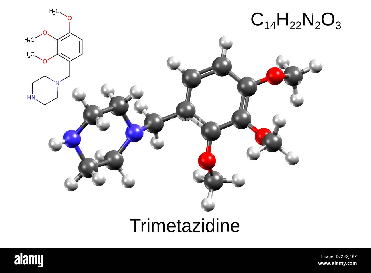 Chemical formula, skeletal formula, and 3D ball-and-stick model of trimetazidine, white background Stock Photo