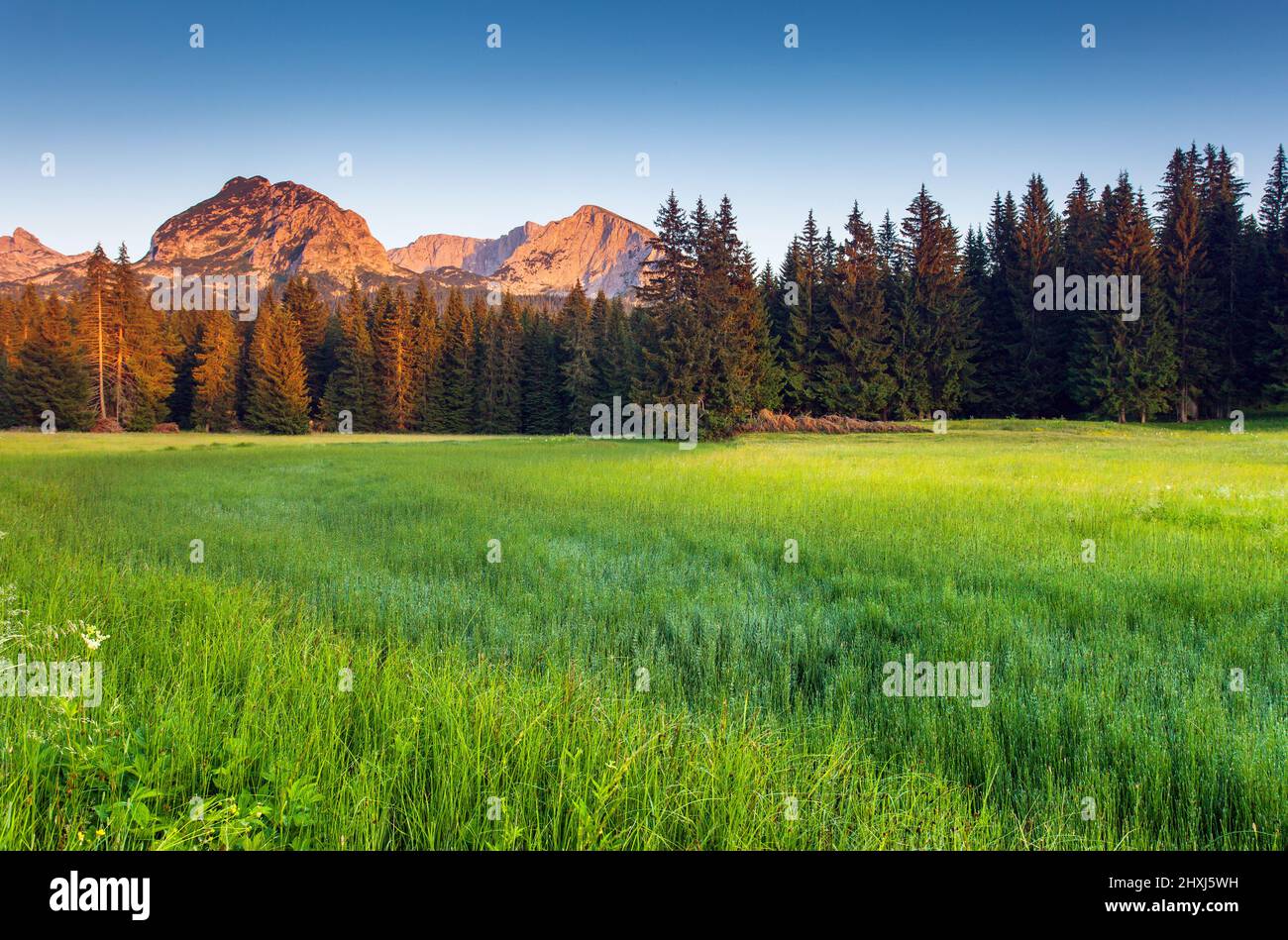 Wonderful view to mountains in the national park Durmitor in Montenegro, Europe. Beauty world. Stock Photo