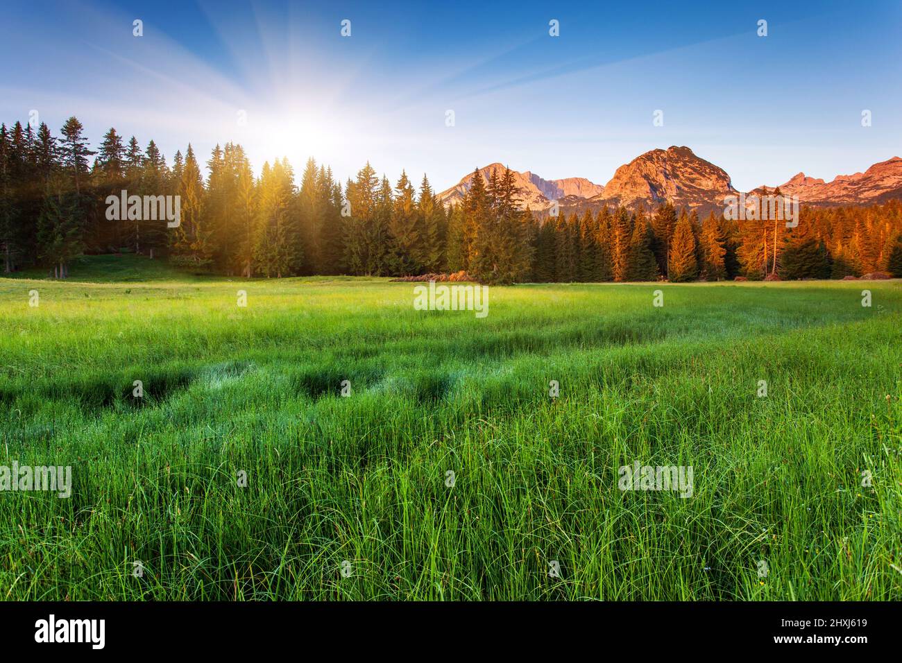 Wonderful view to mountains in the national park Durmitor in Montenegro, Europe. Beauty world. Stock Photo