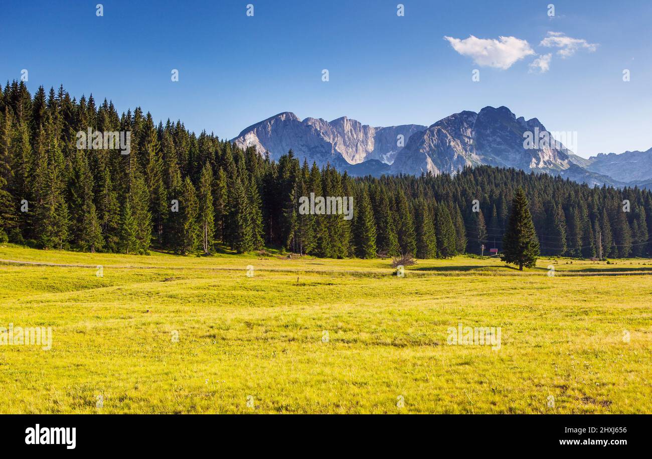 Wonderful view to mountains in the national park Durmitor in Montenegro, Europe. Beauty world. Stock Photo