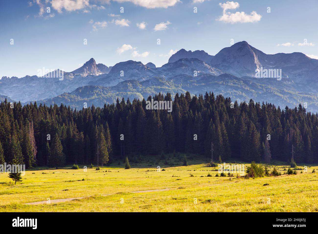Wonderful view to mountains in the national park Durmitor in Montenegro, Europe. Beauty world. Stock Photo