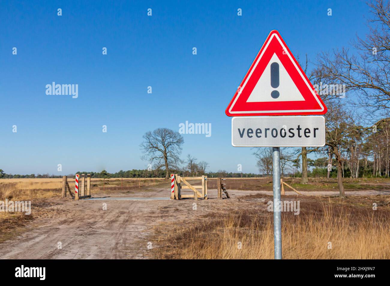 Country path  with a road sign indicating caution, inscription below reading: Cattle Grid, trees in the background in the Dutch nature reserve Natuurp Stock Photo