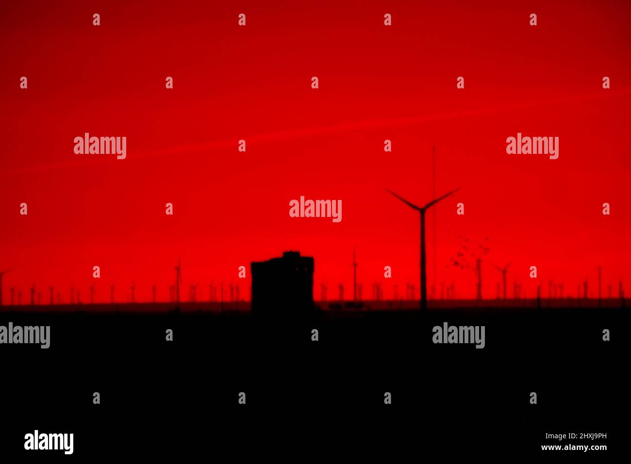 The field of wind turbines at sunset. Evening in the gloomy prairies without wind (quiet weather), windmills froze. Disadvantage clean energy concept Stock Photo