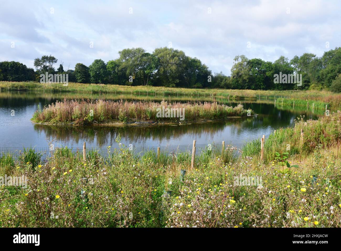 Whelford Pools Nature Reserve, Cotswold Water Park, Lechlade Gloucestershire, UK Stock Photo Alamy