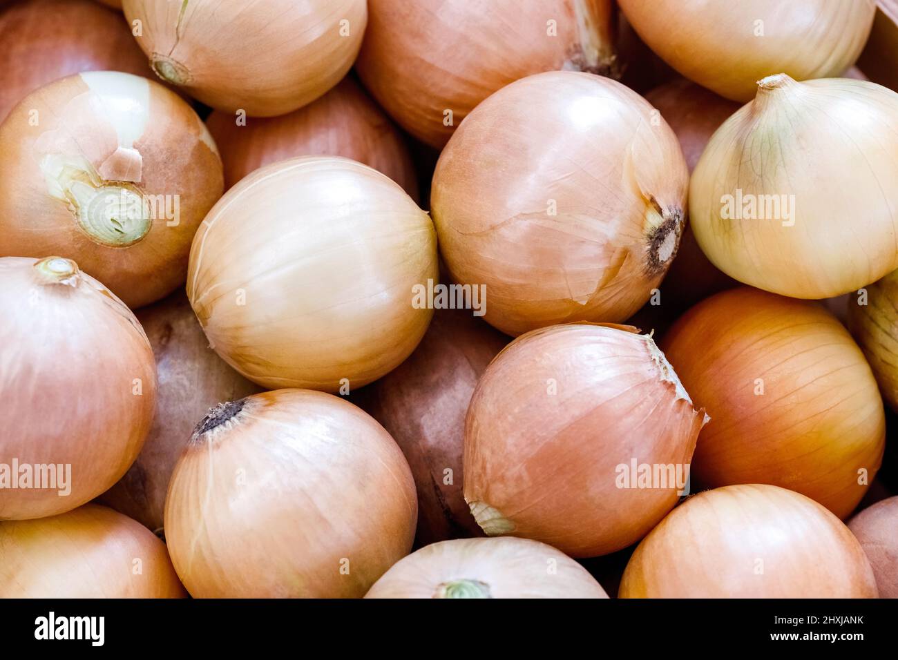 Rural onions hi-res stock photography and images - Alamy
