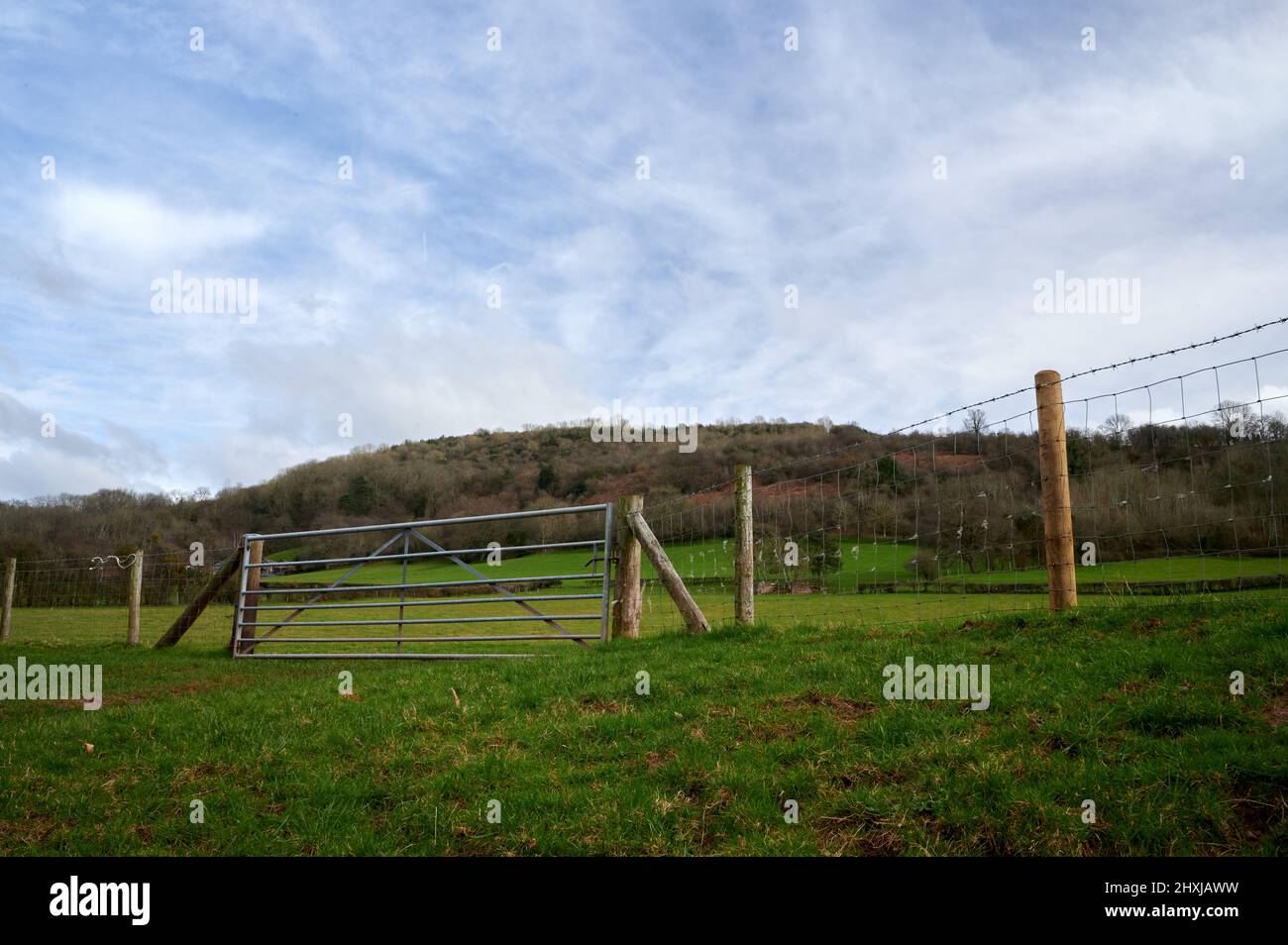 view up green field in british countryside over wire fence and closed metal gate to hilltop with trees and wood Stock Photo