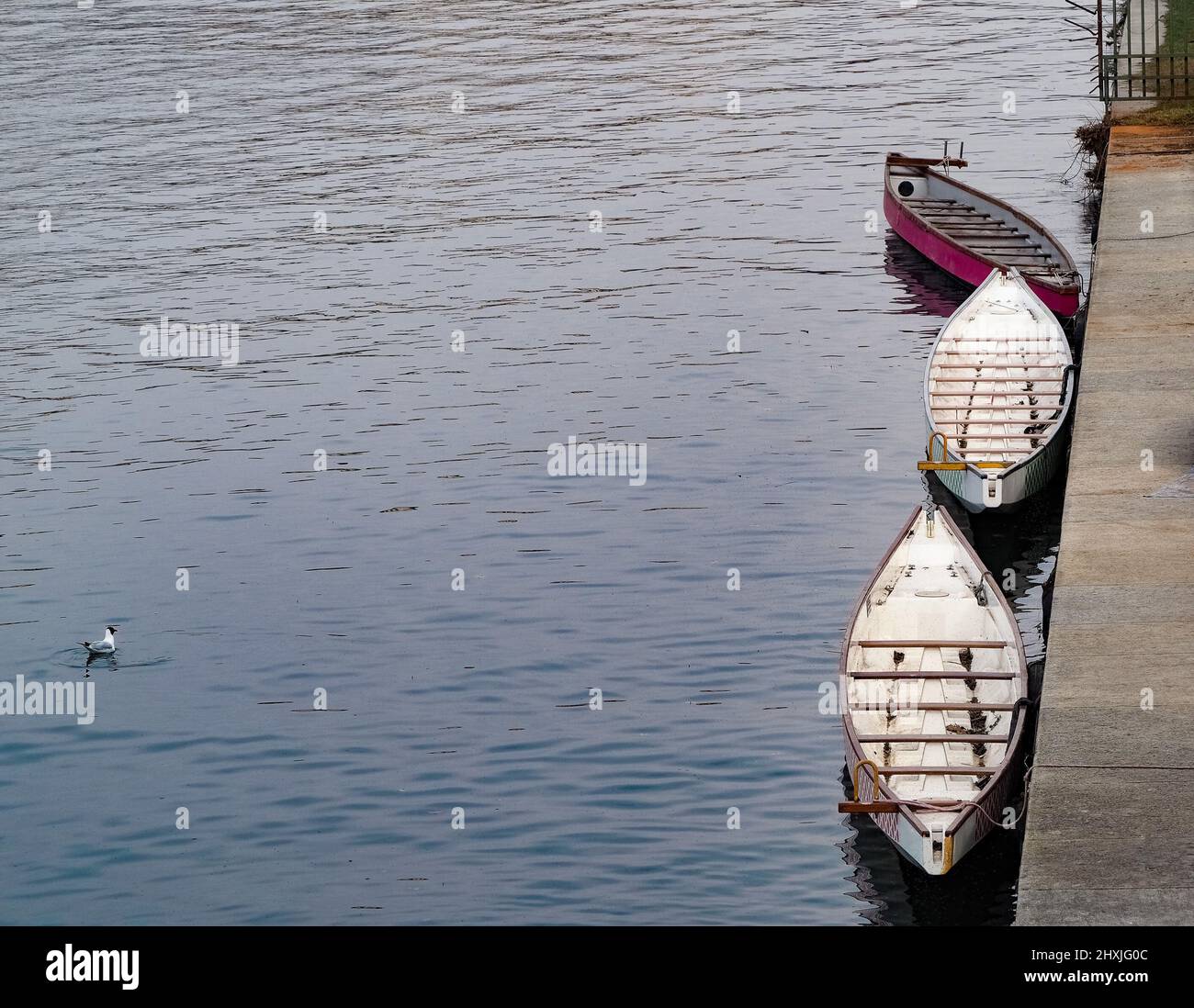 boats on a river docked to the river bank Stock Photo - Alamy