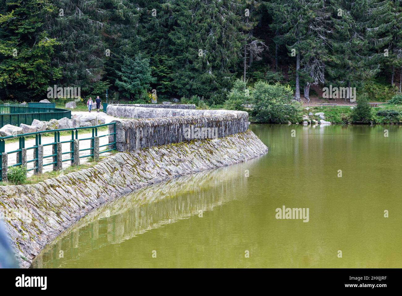 Lac Vert, Vosges, France, Département HautRhin, Le Valtin, Réserve Naturelle de du Lac Vert, Vosges, France, Département HautRhin, Le Valtin, Réserve Naturelle de du
