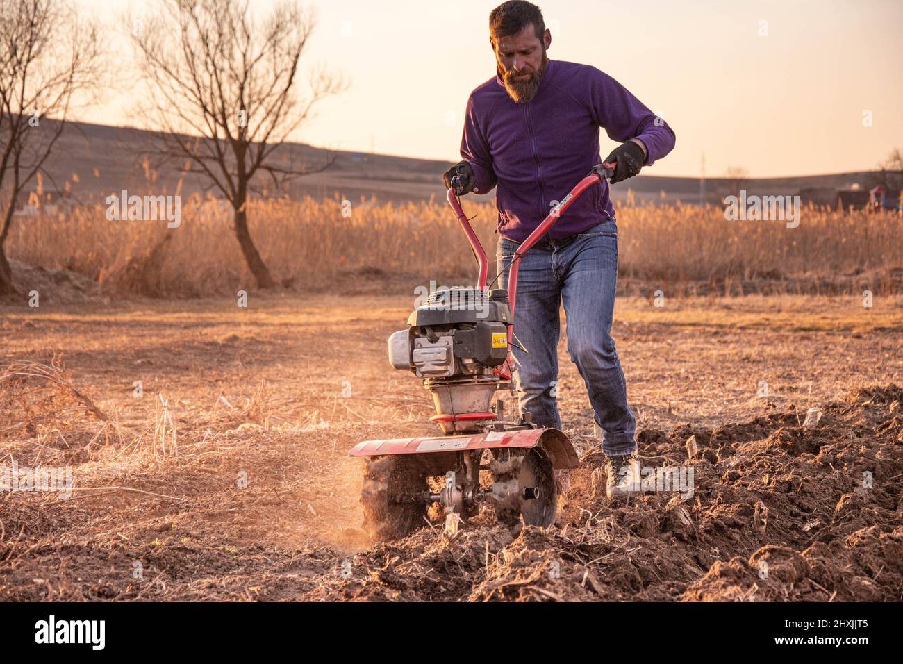 Farmer weeding the field with a tiller. Man loosens the soil cultivator Stock Photo Alamy