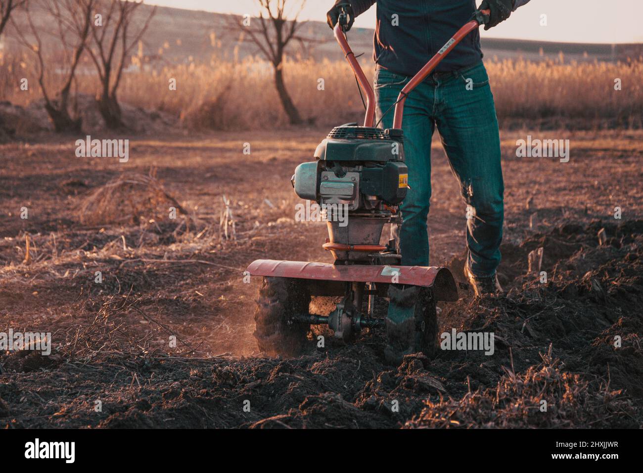 Farmer weeding the field with a tiller. Man loosens the soil cultivator Stock Photo Alamy