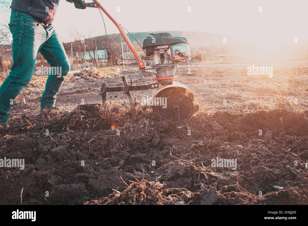 Farmer weeding the field with a tiller. Man loosens the soil cultivator Stock Photo Alamy