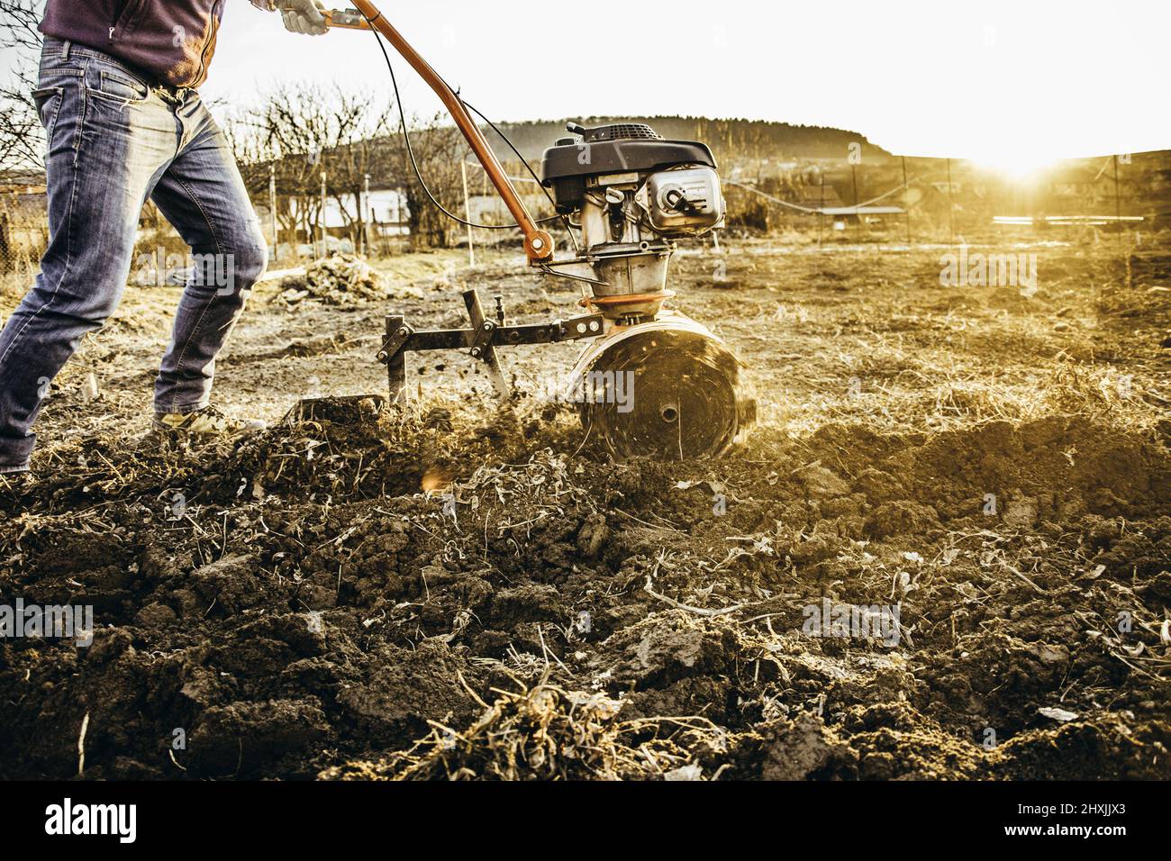 Farmer weeding the field with a tiller. Man loosens the soil cultivator Stock Photo Alamy