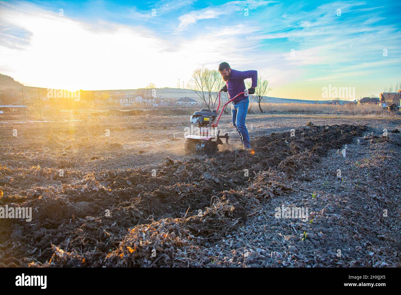 Farmer weeding the field with a tiller. Man loosens the soil cultivator Stock Photo Alamy