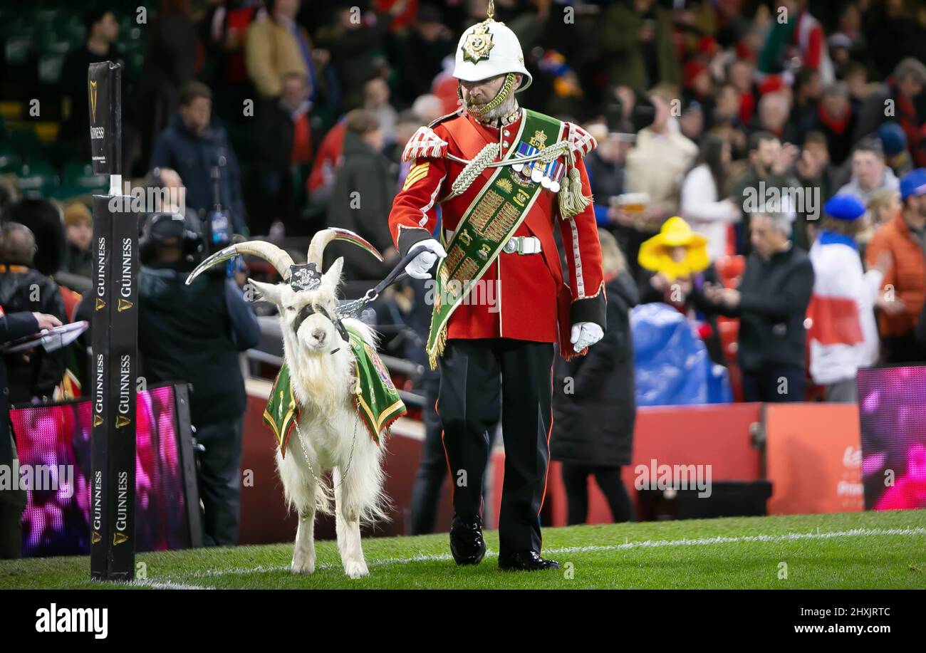 Mountain goat, The regimental mascot of 3rd Battalion The Royal Welsh during the Six Nations 2022 rugby union match between Wales and France on March 11, 2022 at Principality Stadium in Cardiff, Wales - Photo Laurent Lairys / DPPI Stock Photo