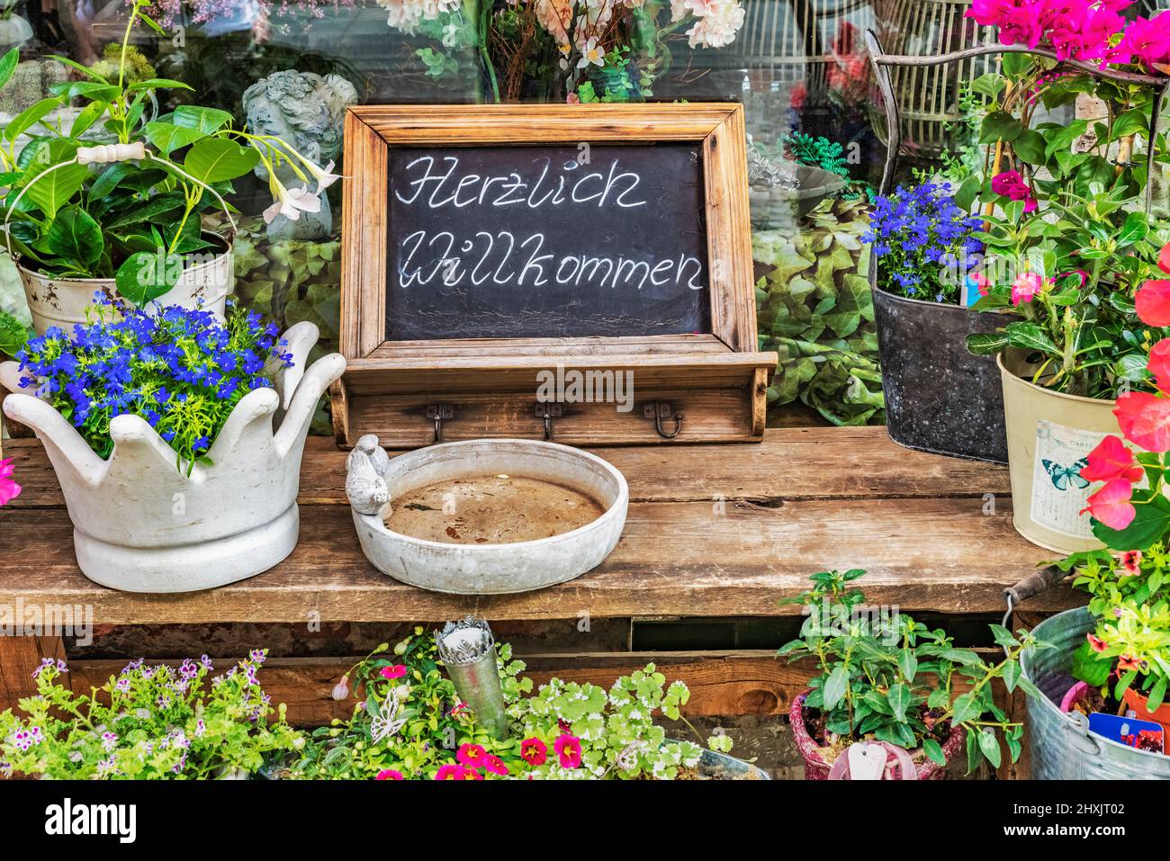 Eine Tafel mit der Aufschrift Herzlich Willkommen steht zwischen Blumen und Grünpflanzen | A blackboard with the inscription Herzlich Willkommen (a wa Stock Photo