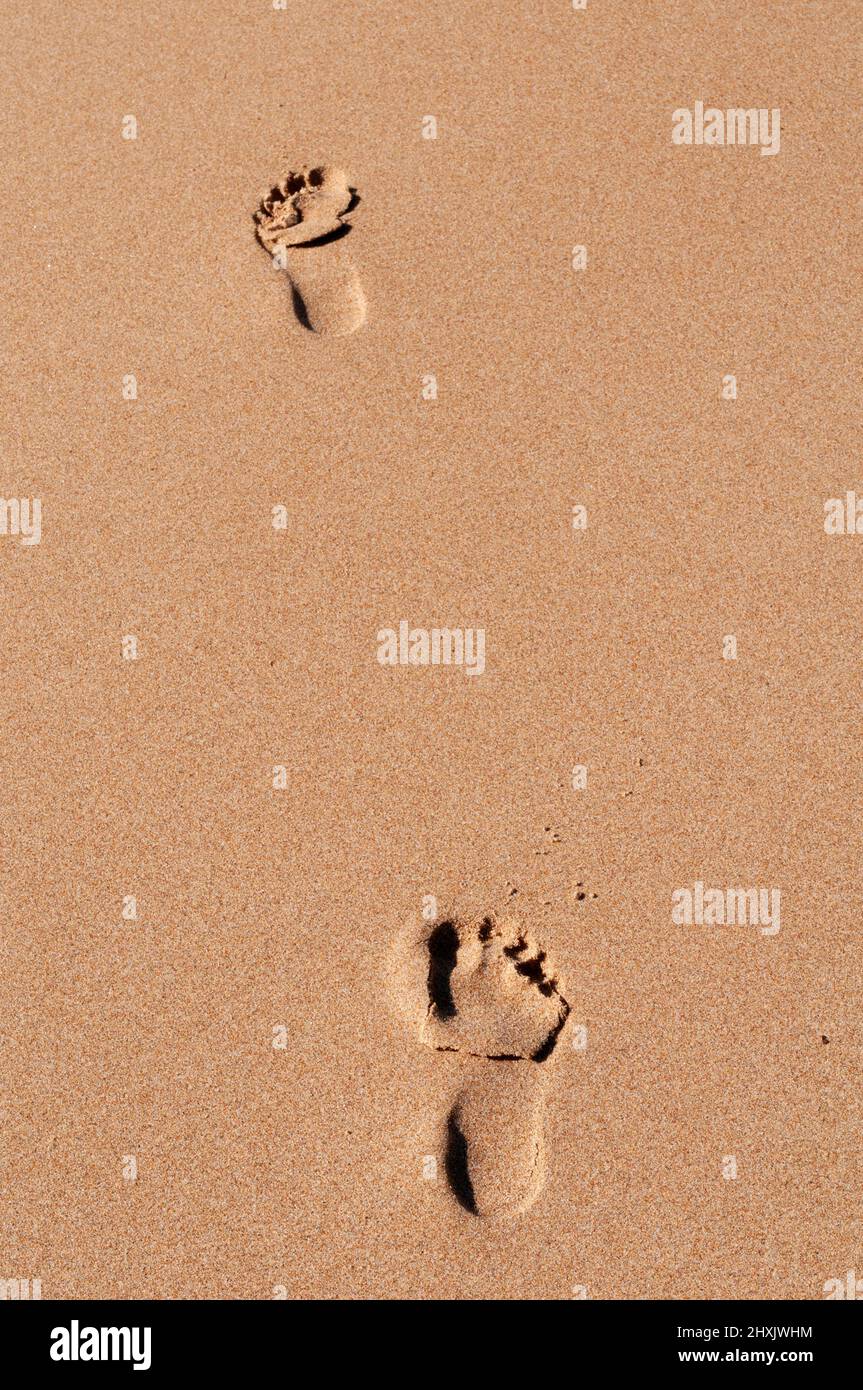 Foot prints in the sand Stock Photo