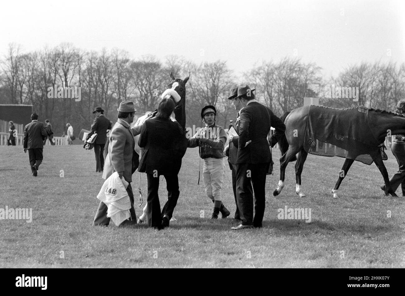 Jockey Willie Carson. 'All the Queens Horses'. At West Ilsley, Berks trainer Major W. R. Hern stands in front of the 13 horses for the Queen. Left to right: Back row Star Harbour; Circlet; Alma; Tartan Pimpernell; Dunfermline; and Mary Fitton. Front row: Valuation; Chain of Reasoning; Fife and Drum; Duke of Normandy; Rhyme Royal; Gregarious and Paintbrust. The man 2nd from right is Stan Clayton former jockey for the Queen. April 1977 77-02213-001 Stock Photo