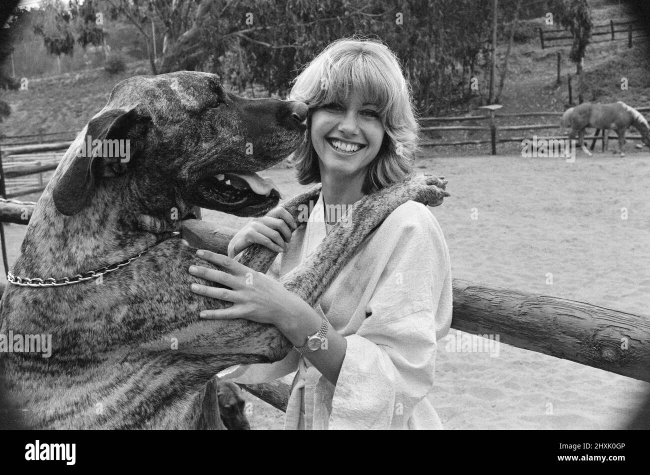 Olivia Newton John, singer and actor, pictured at home in Malibu, California, America.Pictured here with one of her dogs.   Picture taken 25th July 1976 Stock Photo