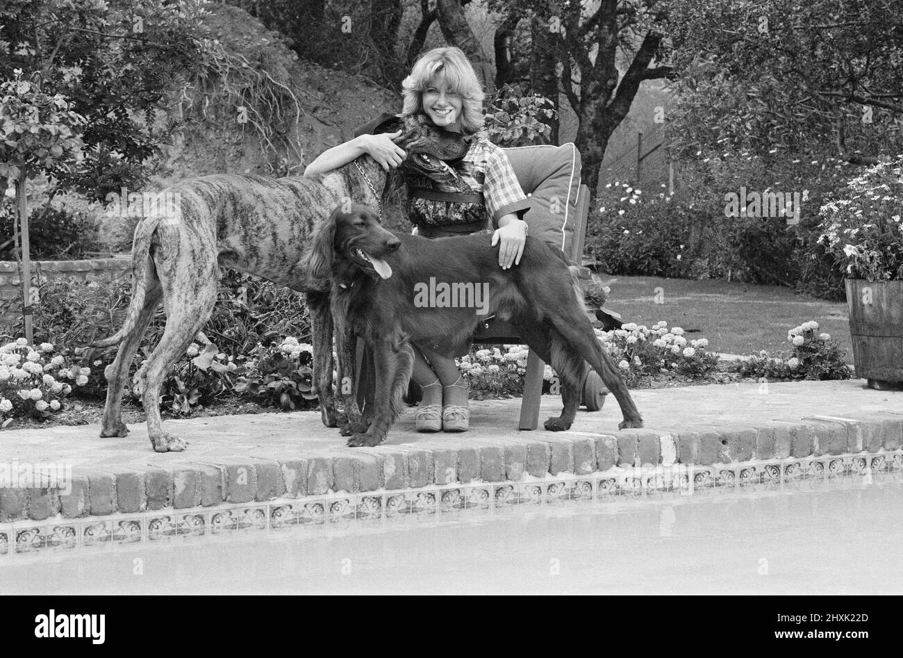 Olivia Newton John, singer and actor, pictured at home in Malibu, California, America.Pictured here, by her swimming pool with her two dogs.   Picture taken 25th July 1976 Stock Photo