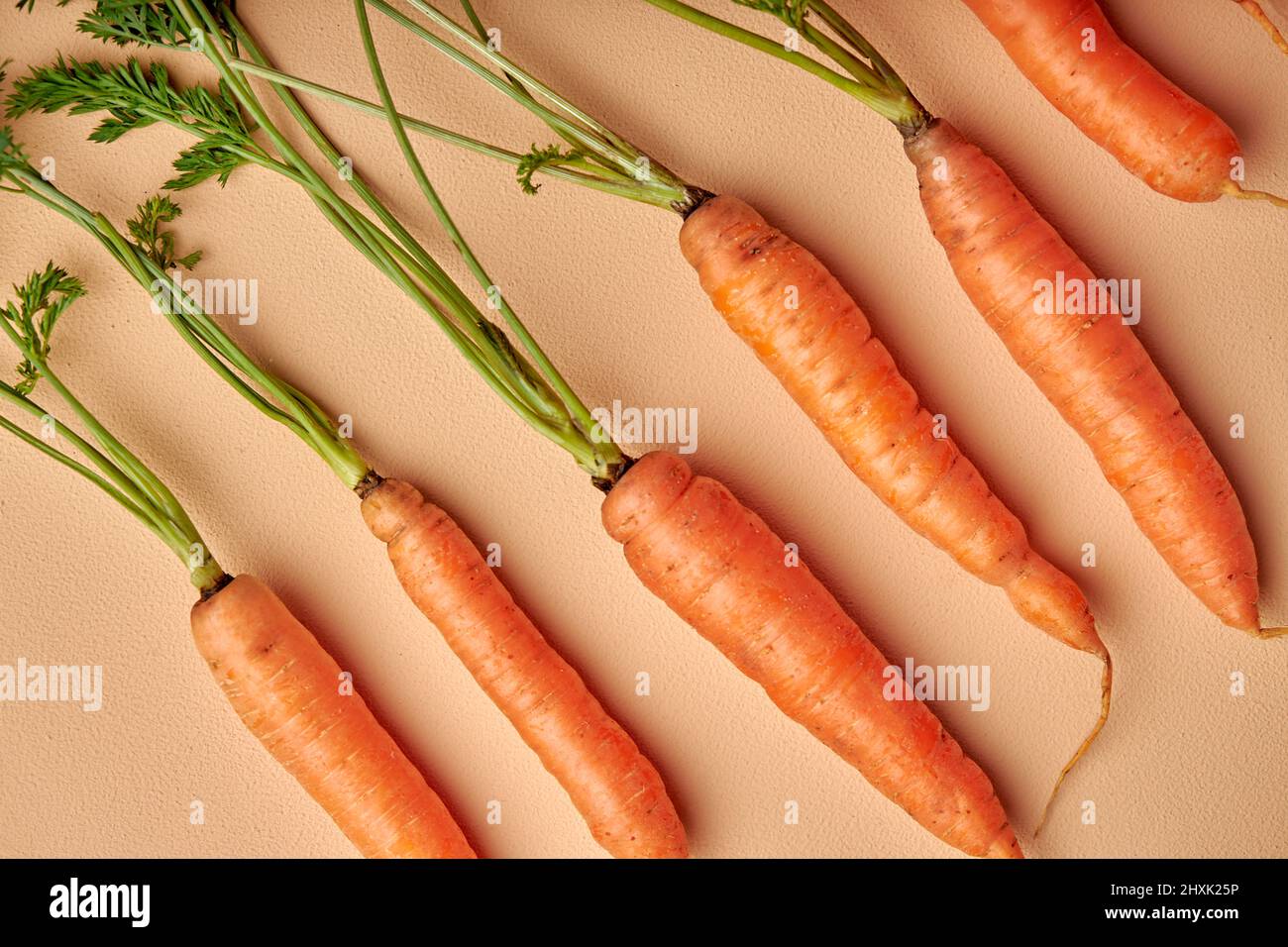 Fresh carrots with green leaves isolated on pastel orange background. Vegetable. Food, nutrition concept. flat lay, copy space. Stock Photo