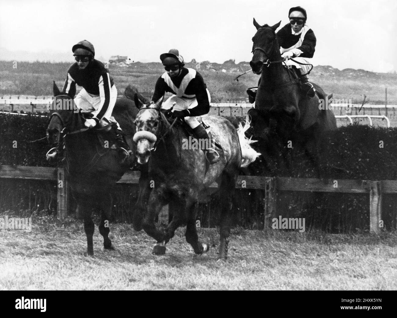 Stockton Racecourse (September 1855 - 16 June 1981), also known as Teesside Park. Monkey Nut (centre) leads over the third fence in the novices chase at Teesside Park, but it was Tommy Stack on Infantryman (left) who passed the post first ahead of Swanky Guide (right). Monkey Nut went back into his shell to finnish last of the five runners. 26th november 1976. Stock Photo