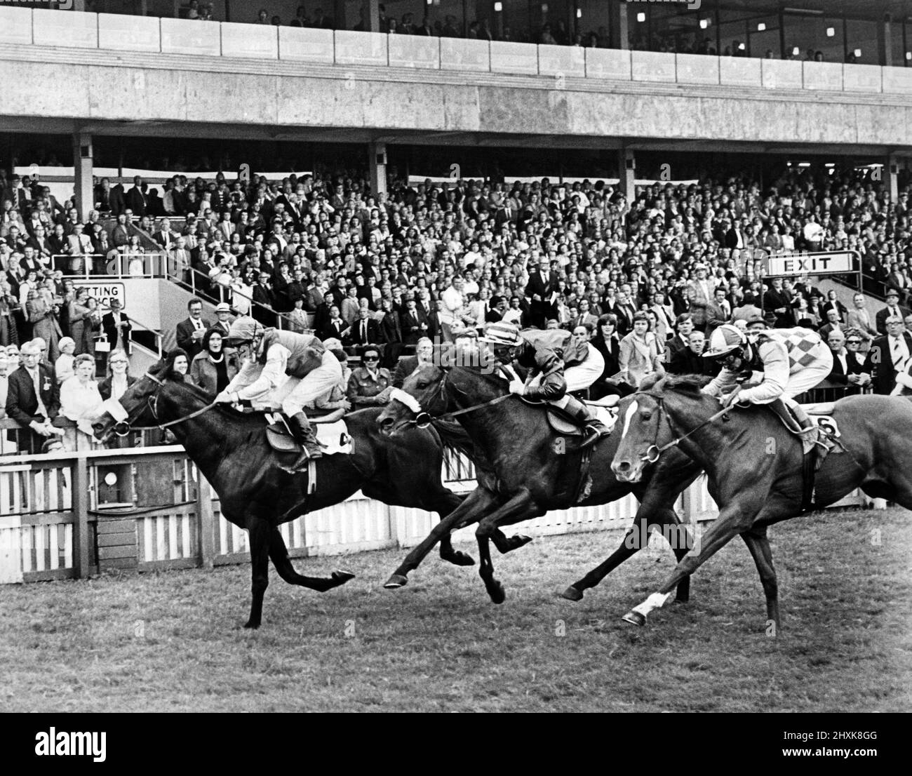 Redcar Racecourse is a thoroughbred horse racing venue located in Redcar, North Yorkshire. Claudio Nicolai wins the top race of the day, the William Hill Gold Cup at Redcar. Ardoon was second and Lord Helpus third. 6th August 1976. Stock Photo