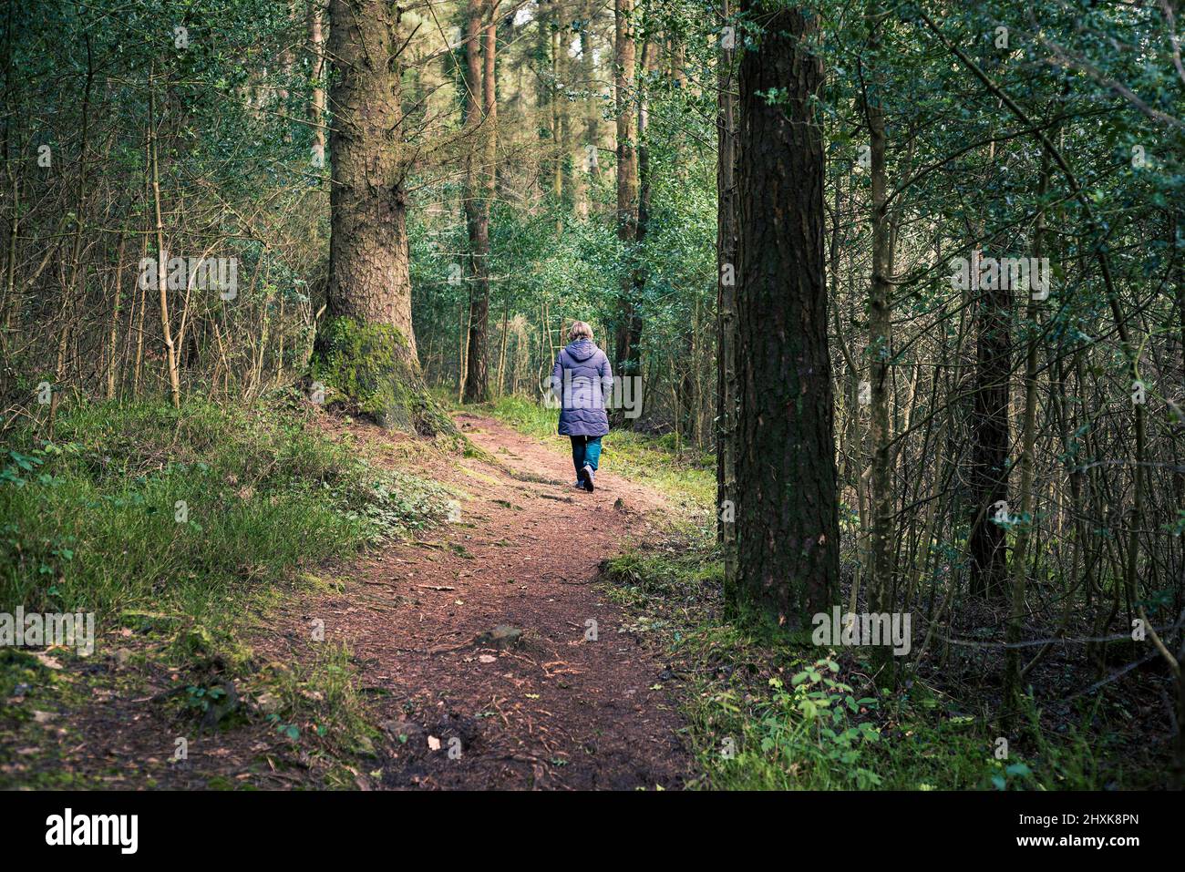 Woman wearing warm winter coat walking alone along a winding path ...