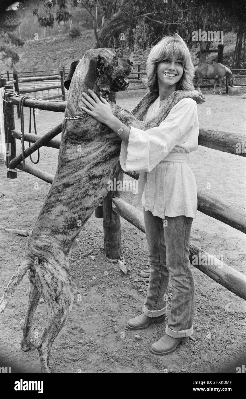 Olivia Newton John, singer and actor, pictured at home in Malibu, California, America.Pictured here with one of her dogs.   Picture taken 25th July 1976 Stock Photo