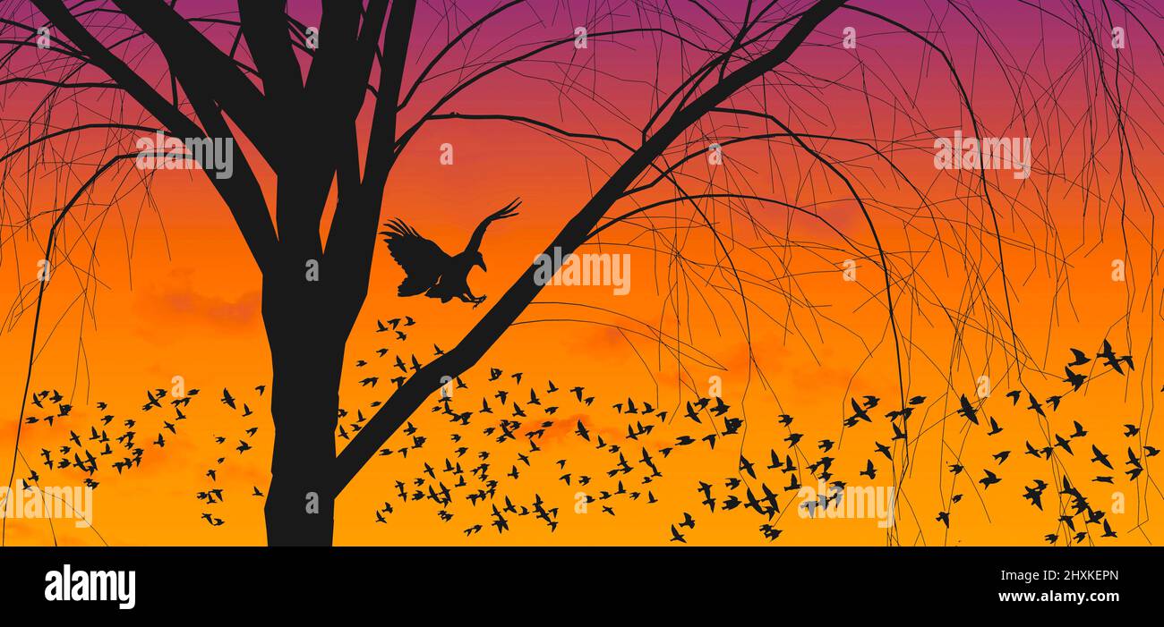 A Crow Selects A Tree For Roosting For The Night In This 3 d a-crow-selects-a-tree-for-roosting-for-the-night-in-this-3-d