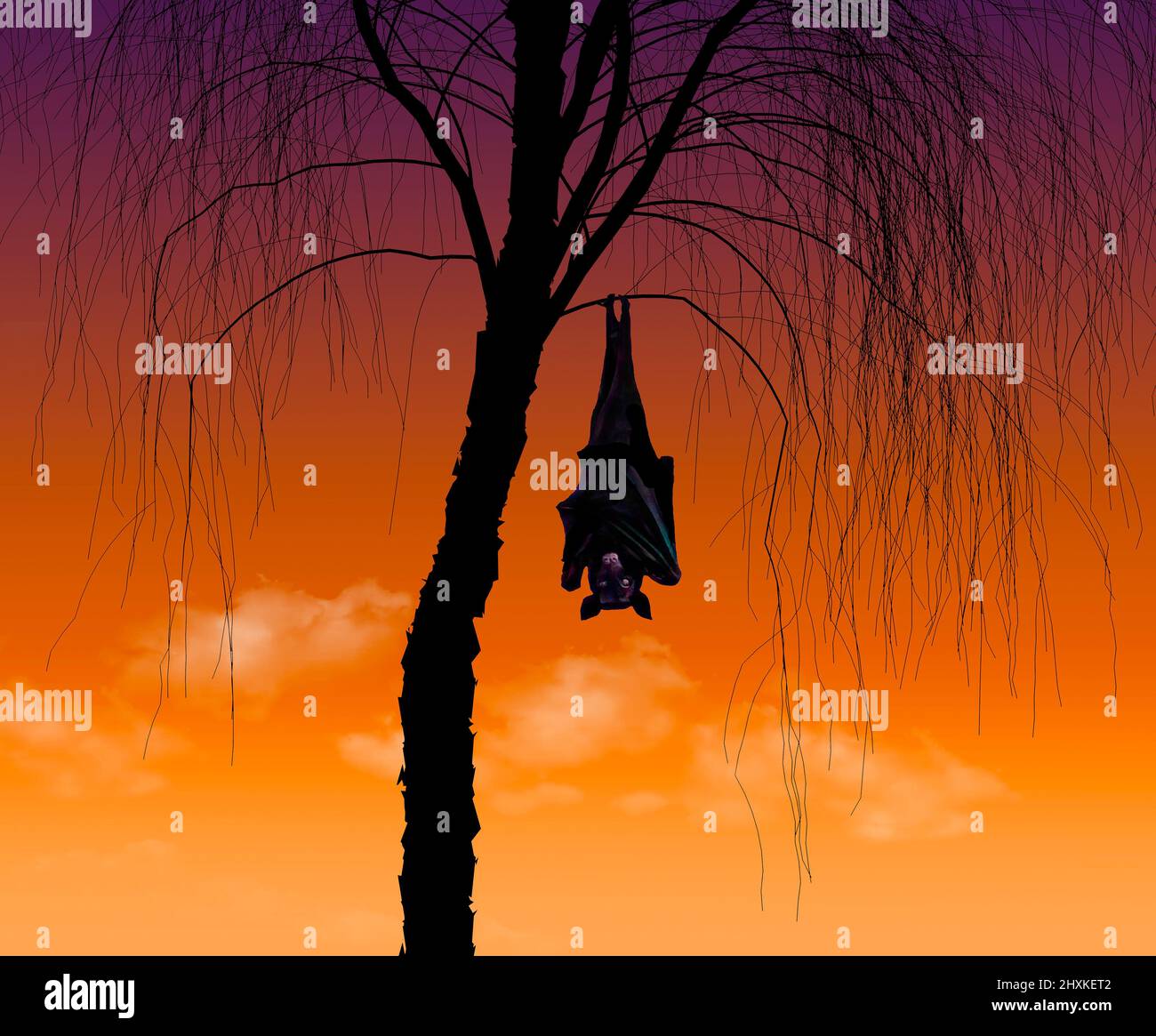 A fruit bat or flying fox, hangs from a tree at sunset in a 3-d illustration. Stock Photo
