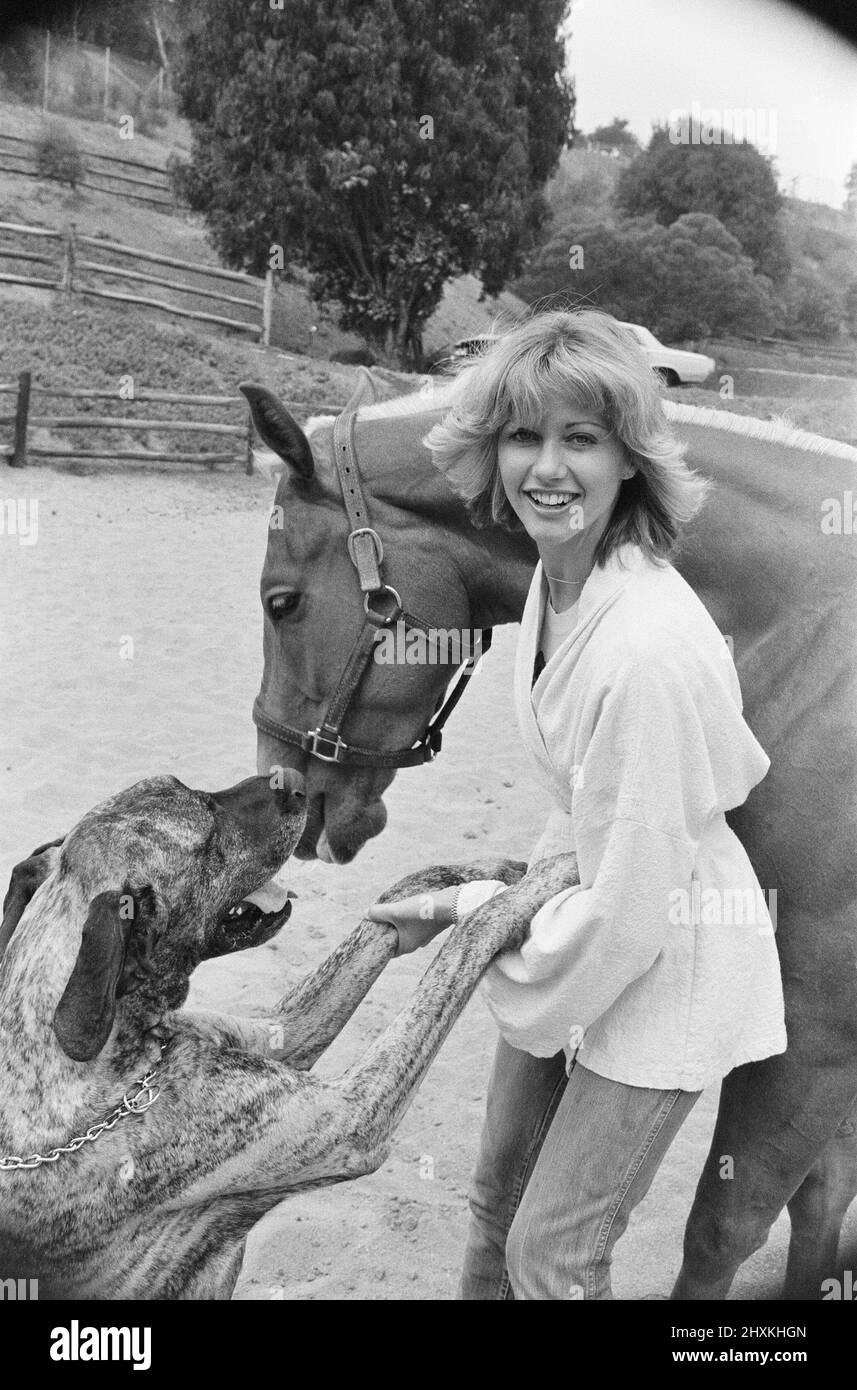 Olivia Newton John, singer and actor, pictured at home in Malibu, California, America.Pictured her with her horse and one of her dogs.   Picture taken 25th July 1976 Stock Photo