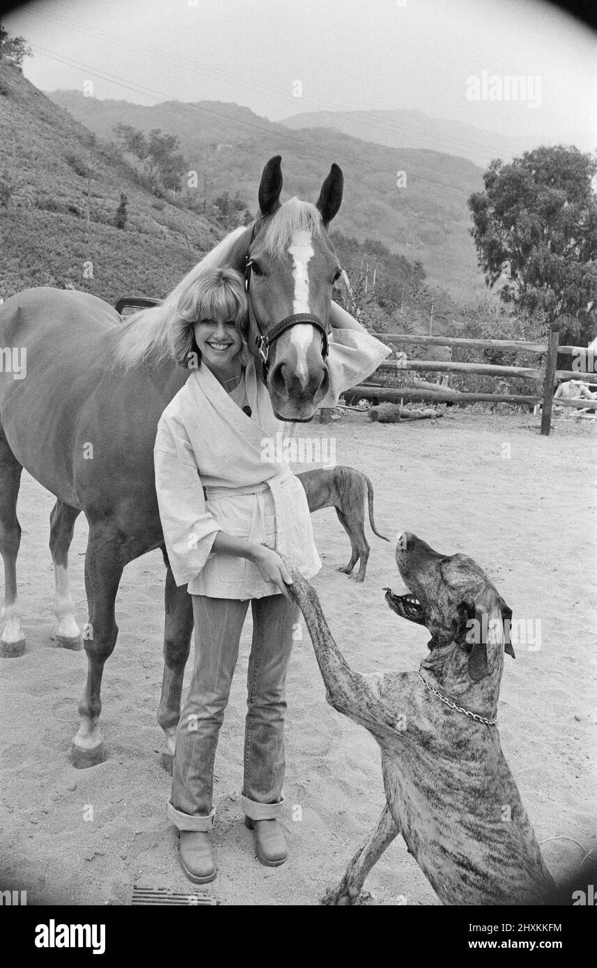 Olivia Newton John, singer and actor, pictured at home in Malibu, California, America.Pictured her with her horse and one of her dogs.   Picture taken 25th July 1976 Stock Photo