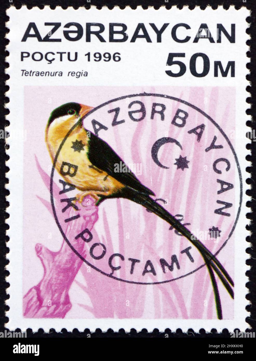AZERBAIJAN - CIRCA 1996: a stamp printed in the Azerbaijan shows shaft-tailed whydah, vidua regia, is a small sparrow-like bird, circa 1996 Stock Photo